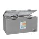 CONGELATEUR SMART TECHNOLOGY HORIZONTAL 2PORTES 500LITRES GRIS STCC550